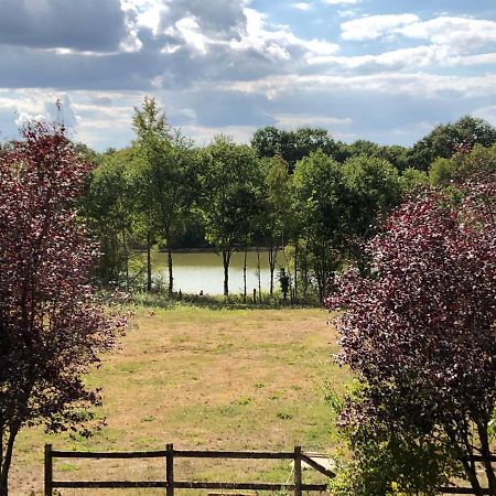 Chambres D'Hotes Domaine De La Jonquiere, Bouloire 外观 照片