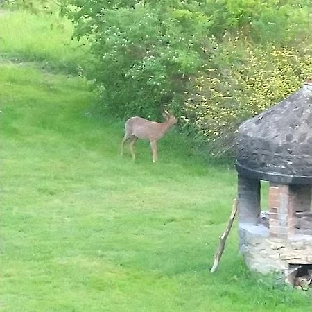 Chambres D'Hotes Domaine De La Jonquiere, Bouloire 外观 照片