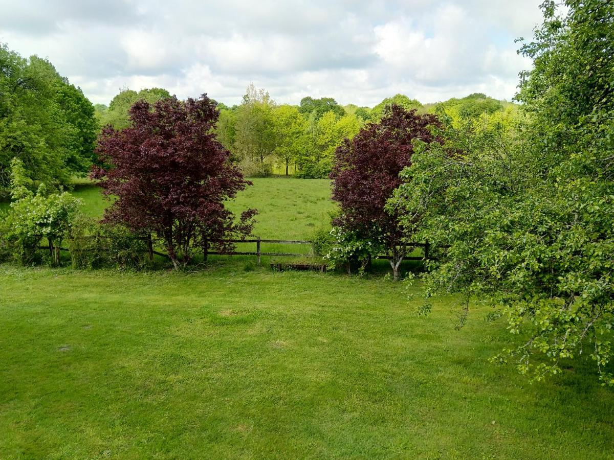 Chambres D'Hotes Domaine De La Jonquiere, Bouloire 外观 照片